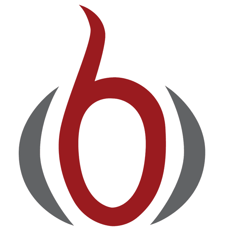 Center for Biomedical Computing (SFF)