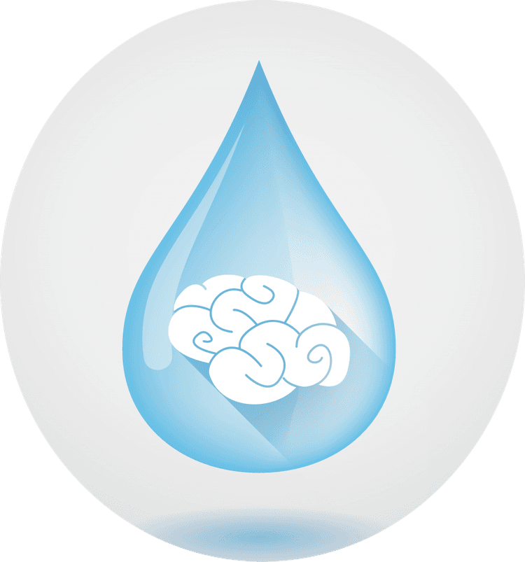 Waterscape: The Numerical Waterscape of the Brain