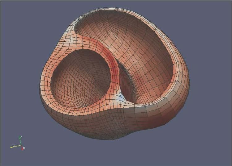 inHeart: In Silico Heart Failure - Tools for Accelerating Biomedical Research