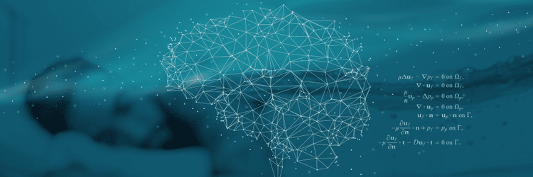 Mathematical Challenges in Brain Mechanics